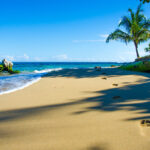 Costa Rica’s Cannabis Policy Points to a Profitable Future Costa Rica's cannabis policy Simon-Dannhauer mg Magazine