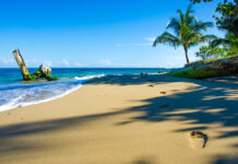 Costa Rica’s Cannabis Policy Points to a Profitable Future Costa Rica's cannabis policy Simon-Dannhauer mg Magazine