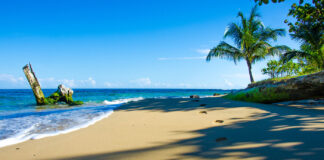 Costa Rica’s Cannabis Policy Points to a Profitable Future Costa Rica's cannabis policy Simon-Dannhauer mg Magazine