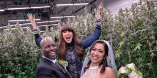 Ahead of Trending Wedding Dates, Planet 13 Offers ‘Weed Weddings’ Las-Vegas-Cannabis-Weddings-marries-couple-at-grow-house photo-credit Anneli-Adolfsson-2