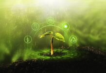 Sustainable Cultivation Benefits Consumers and the Bottom Line Sustainable cultivation Miha-Creative Serge Chistov mg Magazine