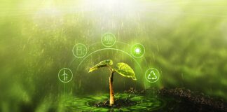 Sustainable Cultivation Benefits Consumers and the Bottom Line Sustainable cultivation Miha-Creative Serge Chistov mg Magazine