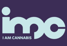IM Cannabis Corp. Appoints Rinat Efrima as New Chief Executive Officer of IMC Holdings, the Company’s Israeli Subsidiary img logo mg Magazine mgretailler