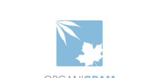 Organigram Joins the Pledge 1% Movement organigram logo white background powder blue square with a white cannabis leaf in the upper left of the square and a maple leaf in the lower right corner of the square centered directly beneath the square is the word organigram in capital sans serif font organi is written in black and gram is written in powder blue
