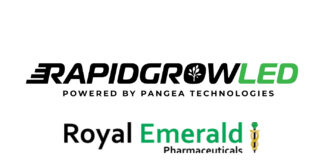 DEA Awards Licenses for Cannabis Production and Medical Research rapid grow royal emerald logos mg Magazine mgretailler