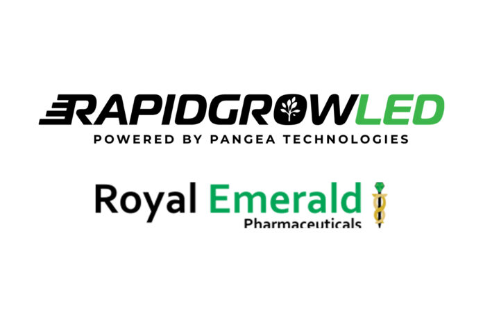 rapid grow royal emerald logos mg Magazine mgretailler