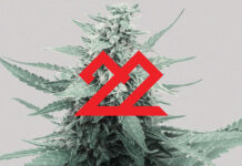 22RED HITS THE SHELVES OF INDUSTRY POWERHOUSE STIIIZY 22 red cannabis mg Magazine mgretailler