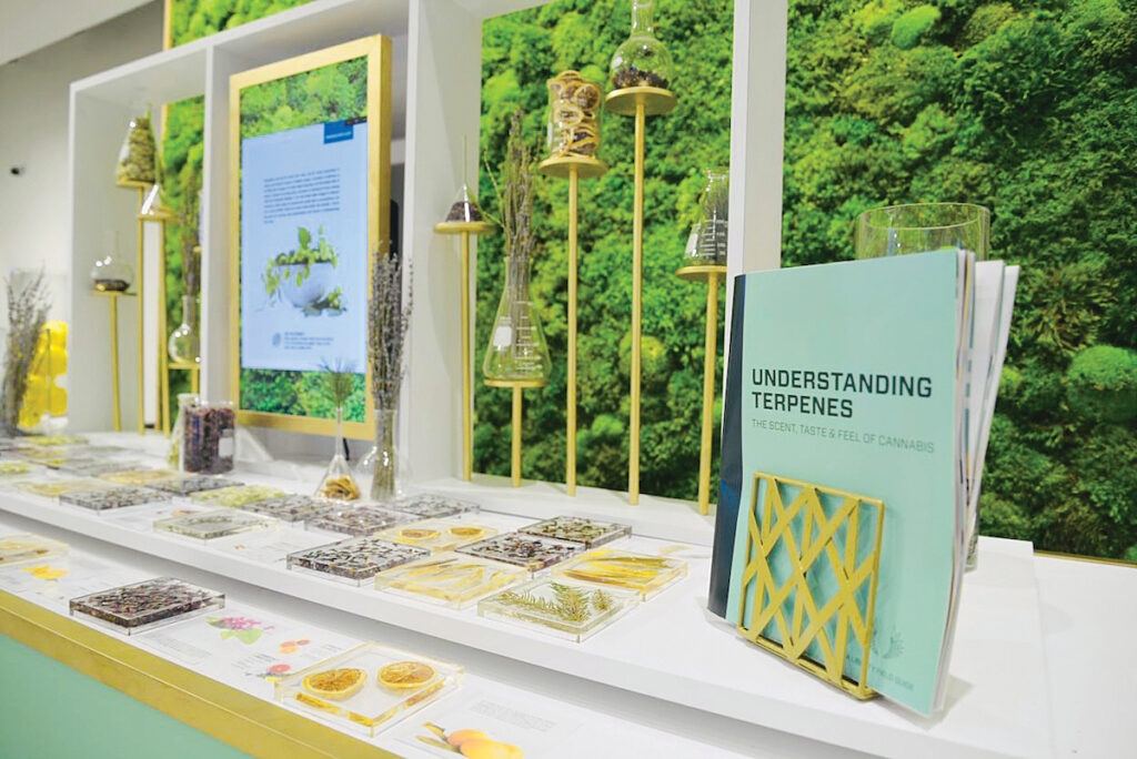 a table display of educational cannabis materials in gold and green with a booklet about terpenes in the foreground