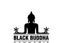 Roz McCarthy Introduces Black-Owned & Environmentally Conscious Black Buddha Cannabis Black-Buddha-Cannabis