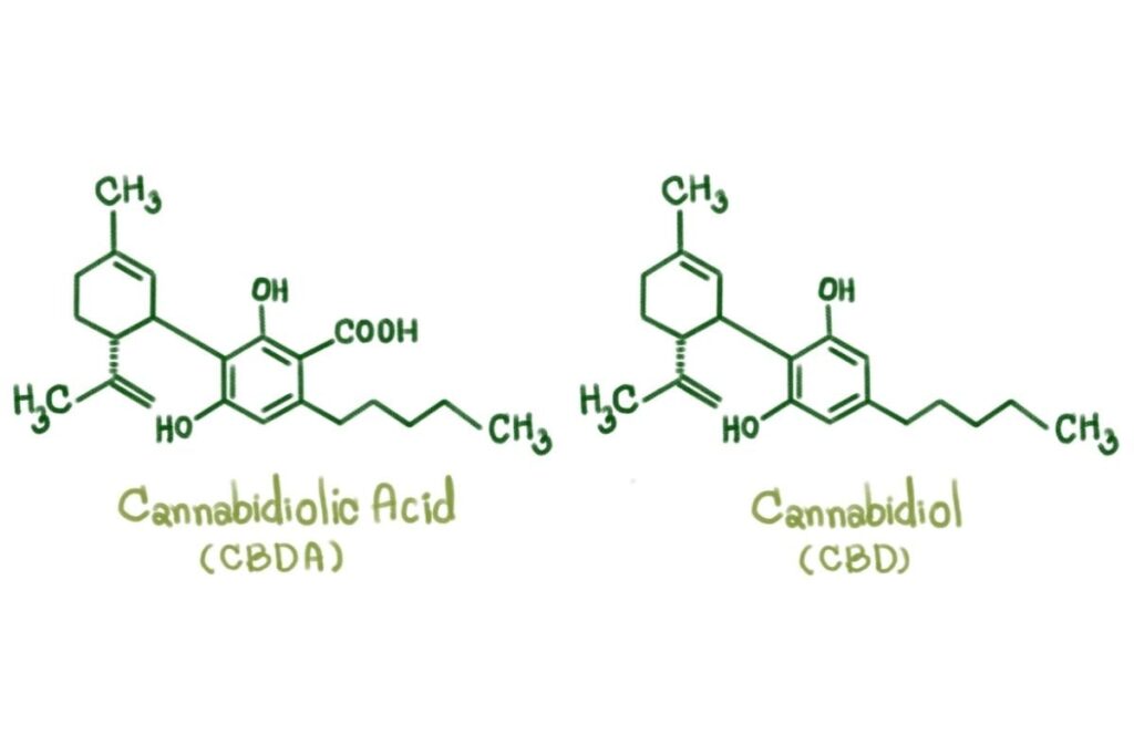 CBDa-vs-CBD-molecules