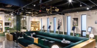 Planning a Social Consumption Lounge Is No Easy Task Large green couch in cannabis social lounge