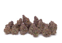 Cannabis Strains: March Arrives like a Leprechaun half-ounce of marijuana flower on a white background