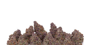 Cannabis Strains: March Arrives like a Leprechaun half-ounce of marijuana flower on a white background