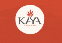 Kaya Now Appoints Stormy Simon as a Director of the Board KAYA logo red background white circle logo KAYA inn gray writing with a red cannabis leaf above the letters