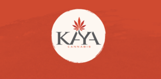 Kaya Now’s High There Launches Fundraiser to Support Ukrainian Refugees KAYA logo red background white circle logo KAYA inn gray writing with a red cannabis leaf above the letters