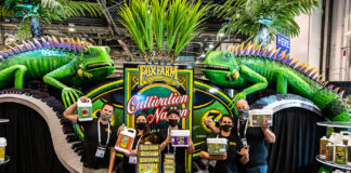 Cannabis Trends to Watch This Year cannabis trends photo by Mike Rosati for mg Magazine