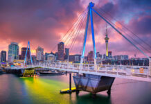 New Zealand Takes a New Look at Plant Medicine an image of New Zealand urban coastline during a dramatic pink sunset the city is in the background and in the foreground in the water and an illuminated bridge general vibe is futuristic and inspiring