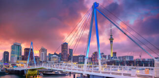 New Zealand Takes a New Look at Plant Medicine an image of New Zealand urban coastline during a dramatic pink sunset the city is in the background and in the foreground in the water and an illuminated bridge general vibe is futuristic and inspiring