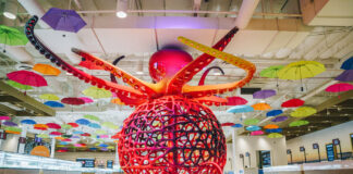 Planet 13 OC Dispensary Planet-13-orange-county-0