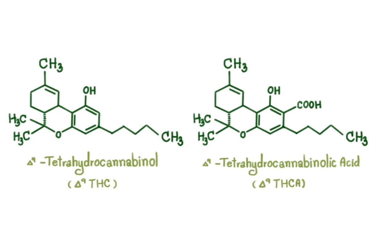 Should Your Dispensary Care About THCa & CBDa?