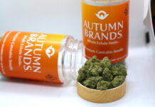 Autumn Brands Introduces Premium Smalls Flower autumn-brands
