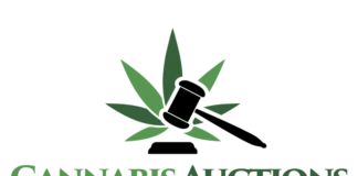 California Cannabis Distribution Company Launches Wholesale Cannabis Auction Platform — CannabisAuctions.com cannabis auctions logo with green cannabis leaf and gavel