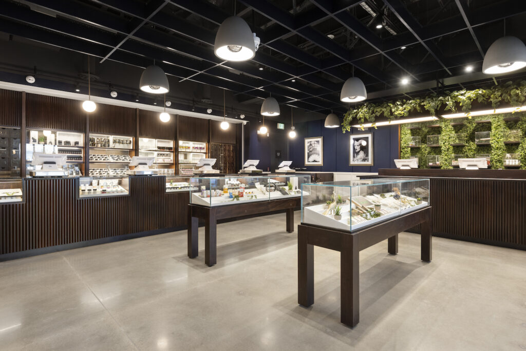 cannabist interior with glass display cases, a shiny cream hardwood floor, navy blue walls, plants on the right wall and products on the left