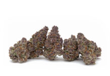 Weed Measurements and Prices Updated for 2024 1 quarter ounce of marijuana or about 5 cannabis buds