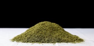 8 Cannabis Grinders for Pre-Rolls and Extracts 1 pound of ground cannabis flower