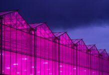 World’s 7 Largest Commercial Cannabis Cultivation Facilities Copperstate-Farms-Exterior