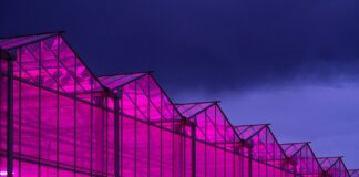 World’s 7 Largest Commercial Cannabis Cultivation Facilities Copperstate-Farms-Exterior