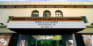 THE ‘ACADEMY AWARDS OF CANNABIS’ IS HEADING TO HOLLYWOOD Emerald-Cup-2022-1