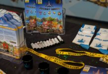 Rocket Seeds Levels Up Rocket-Seeds-Levels-Up-0