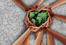 3 Industry Brands That Treat Each Day like Earth Day earth-day-cannabis-brands