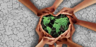 3 Industry Brands That Treat Each Day like Earth Day earth-day-cannabis-brands