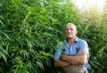 Master of Your Domain: How To Choose Your Head of Cultivation finding-a-master-grower