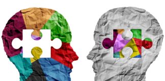 Diversity Is Not Enough When Building a Strong Team shutterstock 2017044854