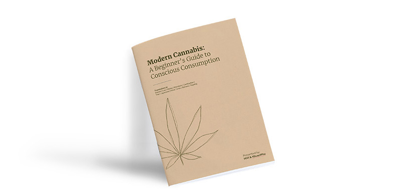 Modern-Cannabis-A-beginners-guide-to-conscious-cannabis-consumption