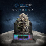 Booba and Silent Seeds Announce the Launch of a New Strain of Cannabis (THC), the B-45! photo of a cannabis nug in the foreground photoshopped onto an image of the moon and space silent seeds logo is at the top of the image