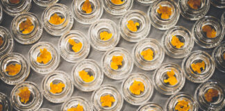 7 Leading Cannabis Extraction Machines cannabis-extraction-equipment-shutterstock 1325526098