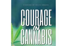 Family Physician and CEO of Green Harvest Health Dr. Bridget Williams Releases new book Courage in Cannabis courage in cannabis book cover