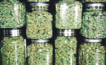 Pregnant Women’s Cannabis Usage in Legalized US States Raises Calls for Screening curing cannabis in mason jars to finish the product