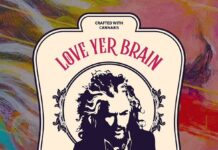 Love Yer Brain, Cannabis Brand of The Flaming Lips’ Frontman Wayne Coyne, Partners with The Nirvana Group multicolor muted background with cream love yer brain logo in the middle featuring image of man with wild flowing hair and love yer brain in pink capitalized font