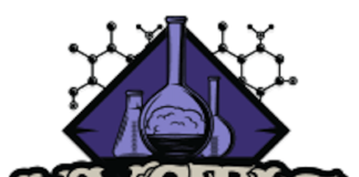Mystic Labs™ Expands Product Line With Launch of Delta-9 THC Gummies white background Mystic Labs logo in gray text and a purple test tube image emerging from atop the text