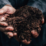 The Great Fertilizer Shortage: Russia’s Influence on Our Crops shutterstock 700968811