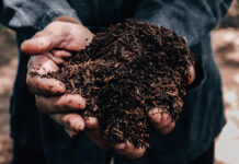 The Great Fertilizer Shortage: Russia’s Influence on Our Crops shutterstock 700968811