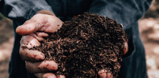 The Great Fertilizer Shortage: Russia’s Influence on Our Crops shutterstock 700968811