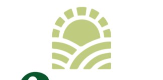 white background dark green text reading green thumb beneath a light green logo of a thumb print