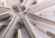 Creatures of Habit: Examining Repeat Purchase Trends in Washington Marijuana cannabis preroll cigarette