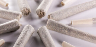 Creatures of Habit: Examining Repeat Purchase Trends in Washington Marijuana cannabis preroll cigarette